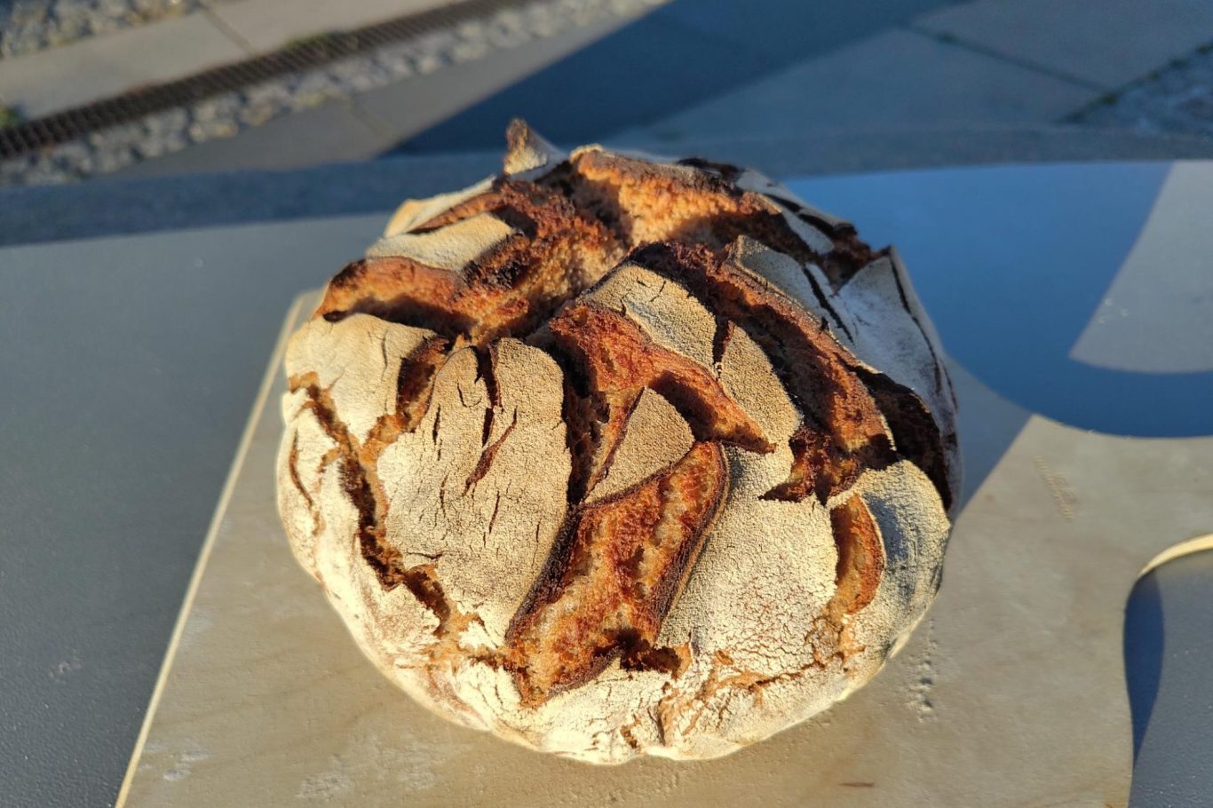 Brot Ein knusprig gebackenes Brot